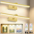 2 Pack 16-Inch Picture Light with Remote, 5200mAh Battery Operated