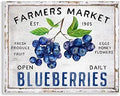 Farmers Market Blueberries, 11 x 14 Inch Mounted Print on Wall Plaque